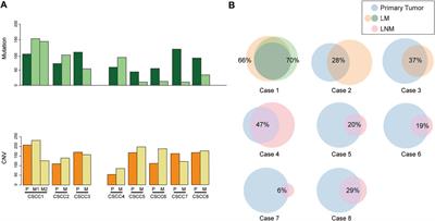 Whole-Exome Sequencing Could Distinguish Primary Pulmonary Squamous Cell Carcinoma From Lung Metastases in Individuals With Cervical Squamous Cell Carcinoma